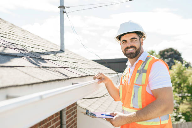 Best Roof Moss and Algae Removal  in West Chicago, IL